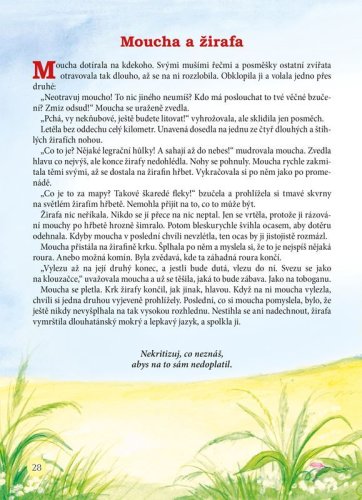 Bajky zblízka i zdaleka