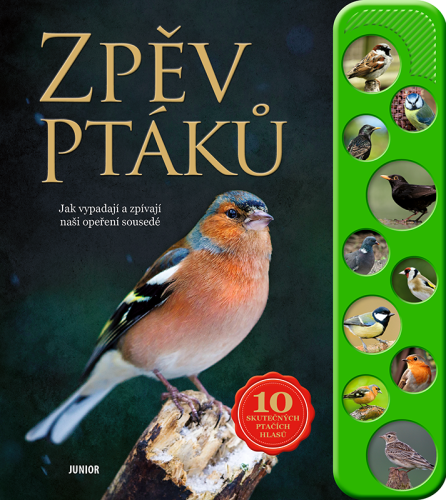 Zpěv ptáků
